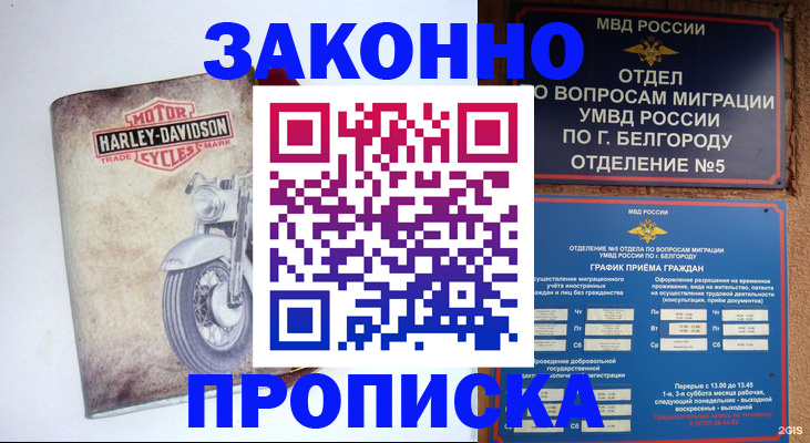 прописка для школы в Кашире